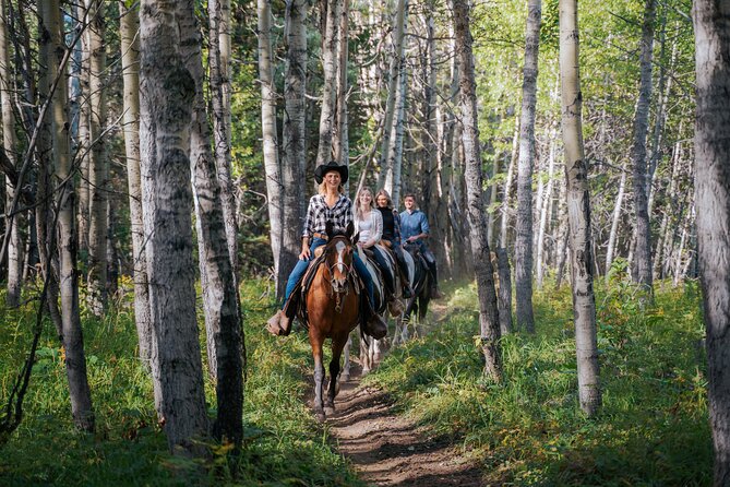 Valley Vista 1.5 Hour Horseback Trail Ride in Kananaskis - Starting among aspens at Boundary Ranch