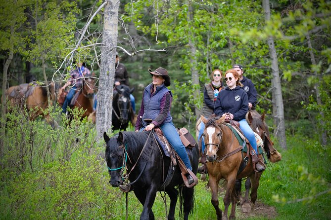Valley Vista 1.5 Hour Horseback Trail Ride in Kananaskis - Entering the lodgepole pine forest