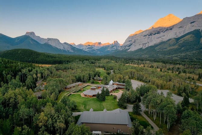 Valley Vista 1.5 Hour Horseback Trail Ride in Kananaskis - Reaching the buffalo herd