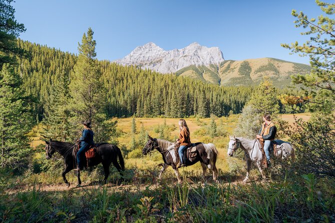 Valley Vista 1.5 Hour Horseback Trail Ride in Kananaskis - Descending through the rock cut