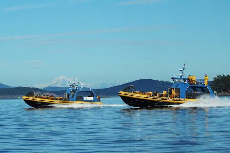 Vancouver, BC: Whale Watching Tour with Guide - Who Will Enjoy This Most