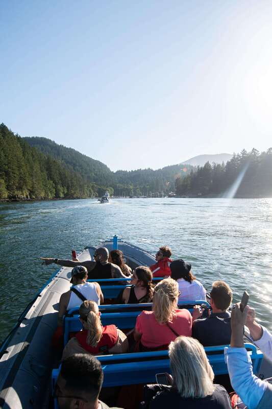 Vancouver: Boat to Bowen Island on UNESCO Howe Sound Fjord - Should you book the Vancouver to Bowen Island boat tour?