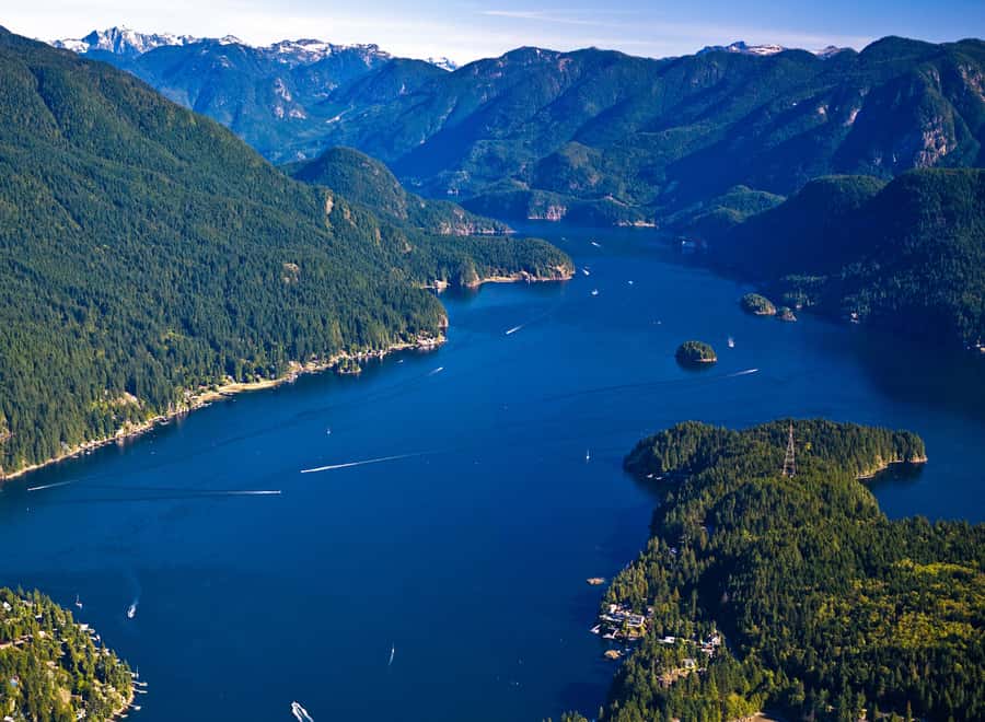 Vancouver Brunch Cruise - Key things to know before you book