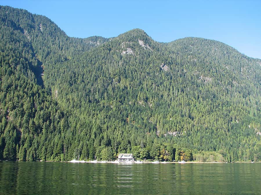 Vancouver Brunch Cruise - Open-air decks and the best photo opportunities