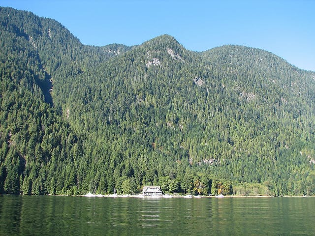 Vancouver Brunch Cruise - Who will enjoy this Vancouver brunch cruise?