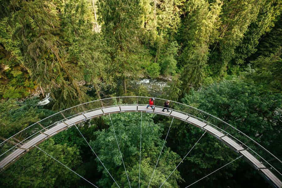 Vancouver: Capilano Bridge, Cleveland Dam & Lynn Canyon Tour - Key points to know before booking