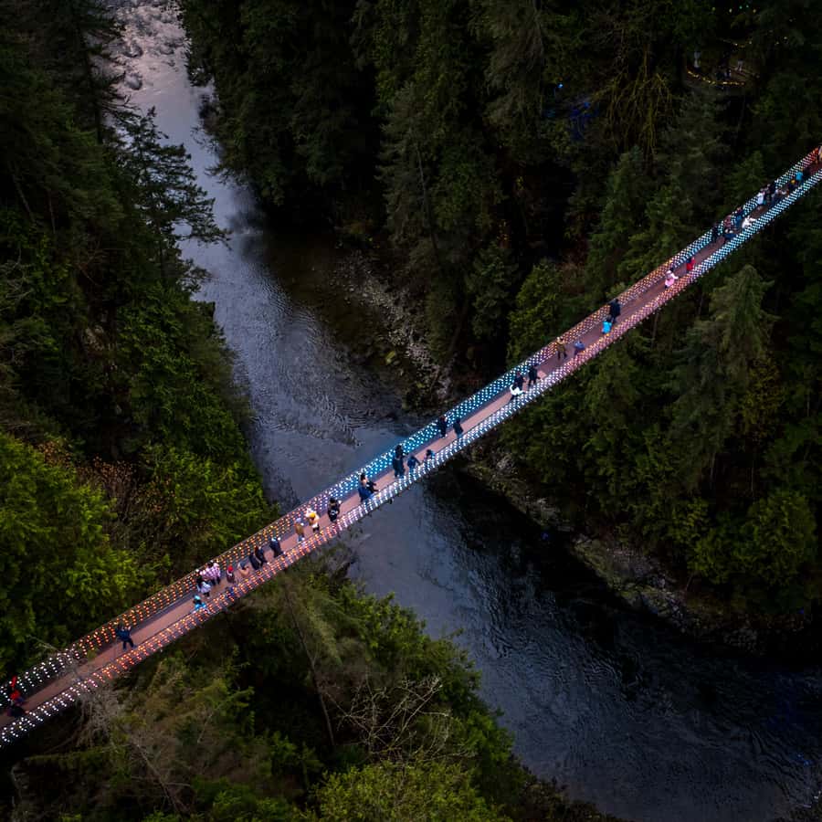 Vancouver: Capilano Bridge, Cleveland Dam & Lynn Canyon Tour - Why this North Shore route works