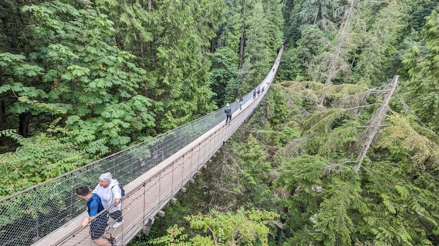 Vancouver: Capilano Bridge, Cleveland Dam & Lynn Canyon Tour - Capilano Suspension Bridge Park and its extra attractions