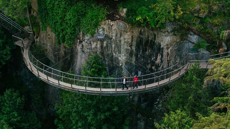 Vancouver: Capilano Bridge, Cleveland Dam & Lynn Canyon Tour - Capilano River rainforest and Cleveland Dam