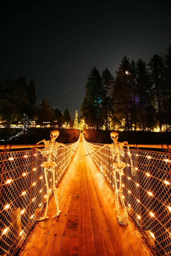 Vancouver: Capilano Bridge, Cleveland Dam & Lynn Canyon Tour - What your guide adds to the day