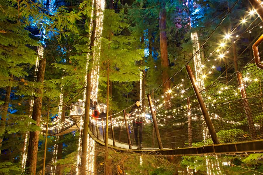 Vancouver: Capilano Bridge, Cleveland Dam & Lynn Canyon Tour - Who should book this Vancouver tour?