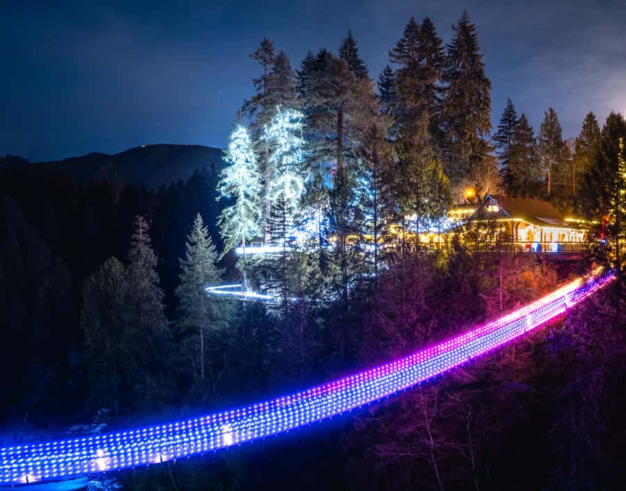 Vancouver: Capilano Bridge, Cleveland Dam & Lynn Canyon Tour - Lynn Canyon and the first suspension bridge