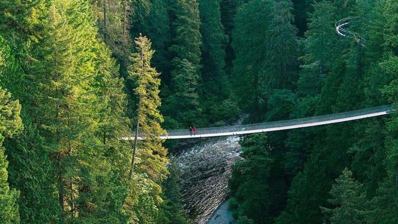 Vancouver: Capilano Suspension Bridge Park Ticket - Key points to know before you go