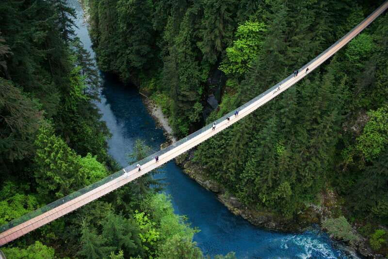 Vancouver: Capilano Suspension Bridge Park Ticket - Treetops Adventure takes you above the forest floor