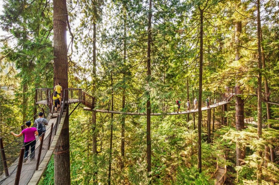 Vancouver: Capilano Suspension Bridge Park Ticket - Hourly talks add meaning to the forest