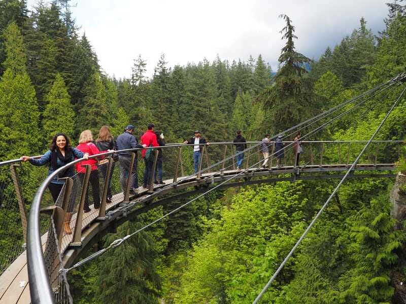 Vancouver City and Capilano Park Private Tour - Barrett’s View and the North Shore outlook