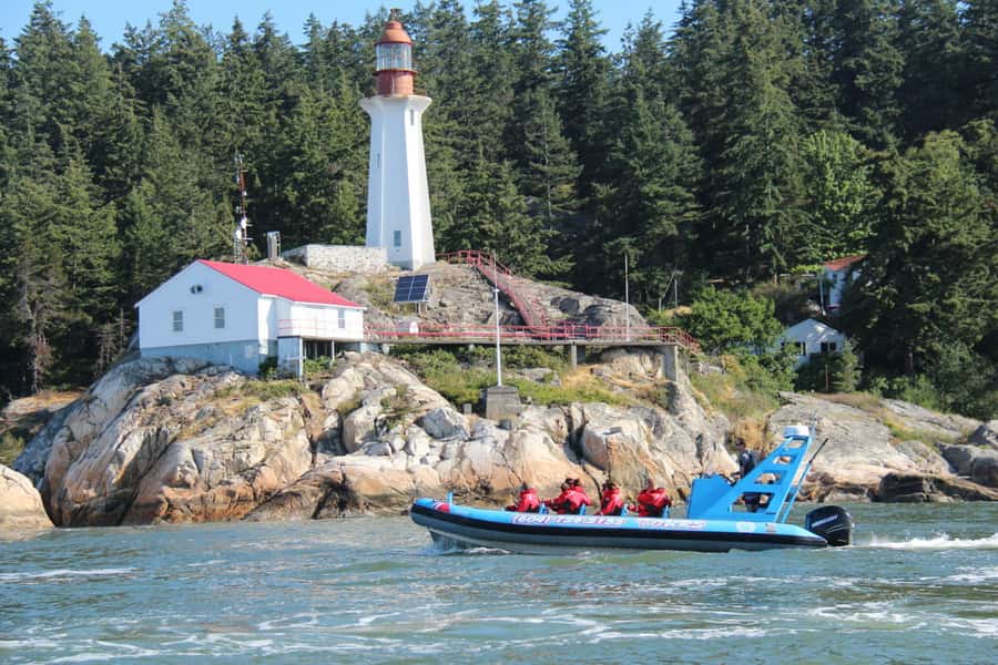 Vancouver: City and Seal Boat Tour - Key points to know before you book