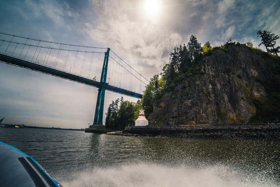 Vancouver: City and Seal Boat Tour - The seal colony is the wildlife highlight