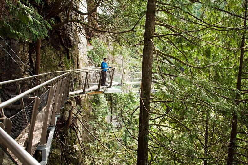 Vancouver: City+Lookout+Capilano Suspension Bridge Ticket - Key points at a glance