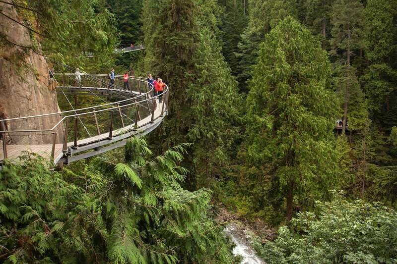 Vancouver: City+Lookout+Capilano Suspension Bridge Ticket - Capilano Suspension Bridge and Cliffwalk