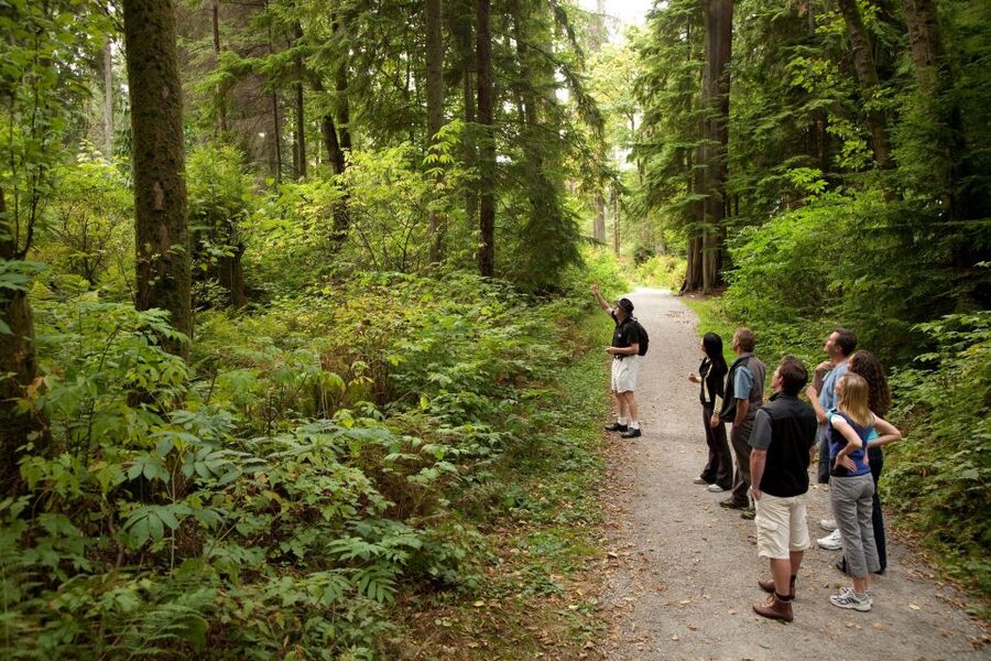 Vancouver: City + Lookout Tour & Option to Add YVR Drop-Off - Guides make the difference