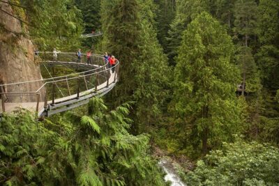 Vancouver City Sightseeing Tour: Capilano Suspension Bridge & Vancouver Lookout