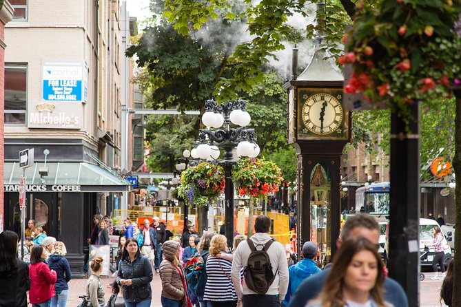Vancouver City Sightseeing Tour: Granville Island & Stanley Park - Pickup, vehicle, and the real timing