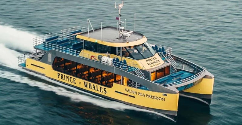 Vancouver: Covered Whale Watching Adventure with Free Photos - The guides make the difference