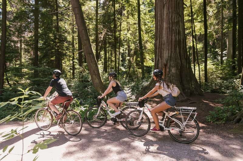 Vancouver: Half-Day City Highlights E-Bike Tour Age 16+ - The climb to Prospect Point
