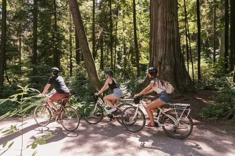 Vancouver: Half-Day City Highlights E-Bike Tour Age 16+ - Is $105 a fair price?