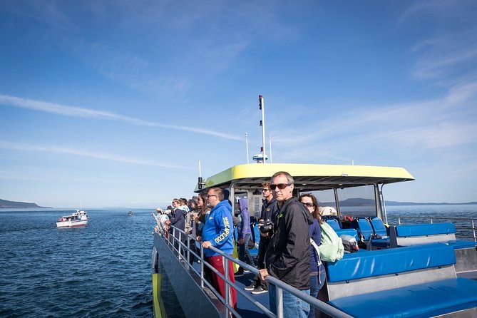Vancouver Half-Day Whale Watching Adventure with Free Photos - Who will enjoy this cruise most?