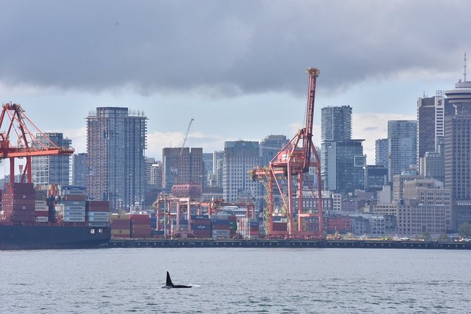 Vancouver Half-Day Whale Watching Adventure with Free Photos - Booking, weather, and cancellation details