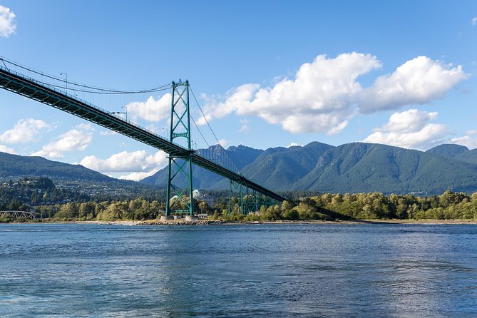 Vancouver Half-Day Whale Watching Adventure with Free Photos - What you might see beyond whales