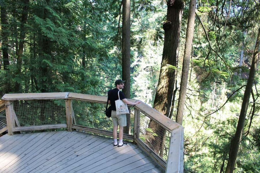 Vancouver Highlights: Capilano Bridge & Granville Island - Stanley Park, where the city turns to forest