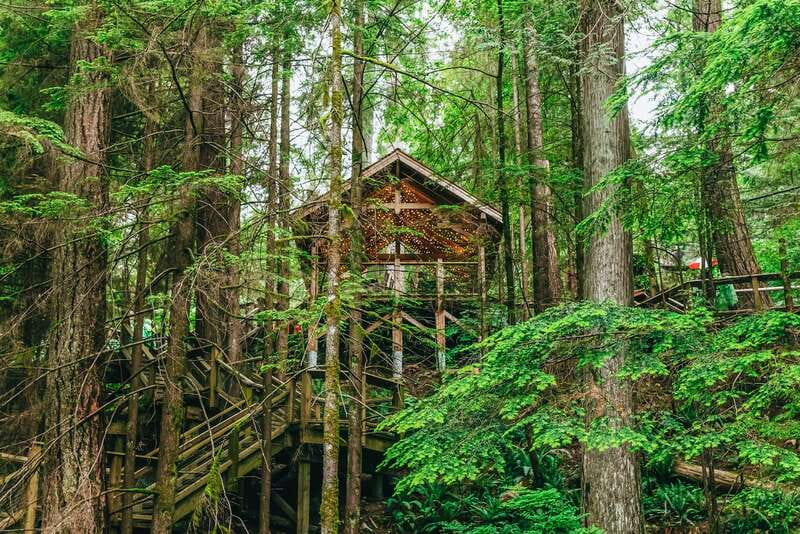 Vancouver Highlights: Capilano Bridge & Granville Island - Capilano Suspension Bridge Park: allow the full 90 minutes
