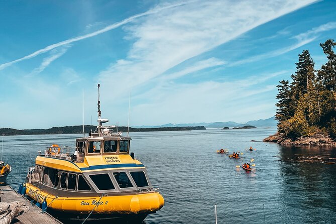 Vancouver Island Half-Day Whale Watching Tour - Telegraph Cove - Why the guides matter on this trip
