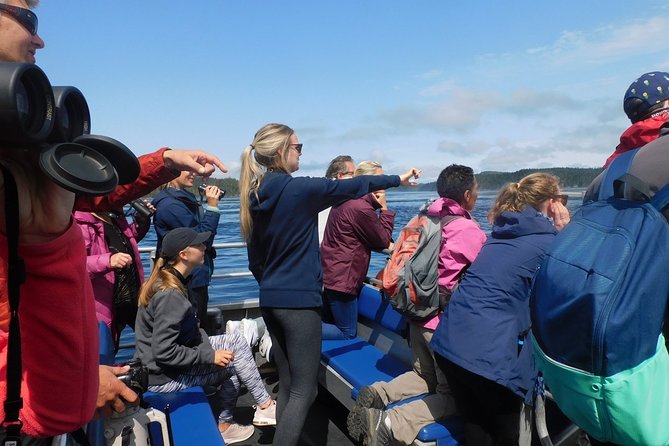 Vancouver Island Half-Day Whale Watching Tour - Telegraph Cove - What is included for $153.77