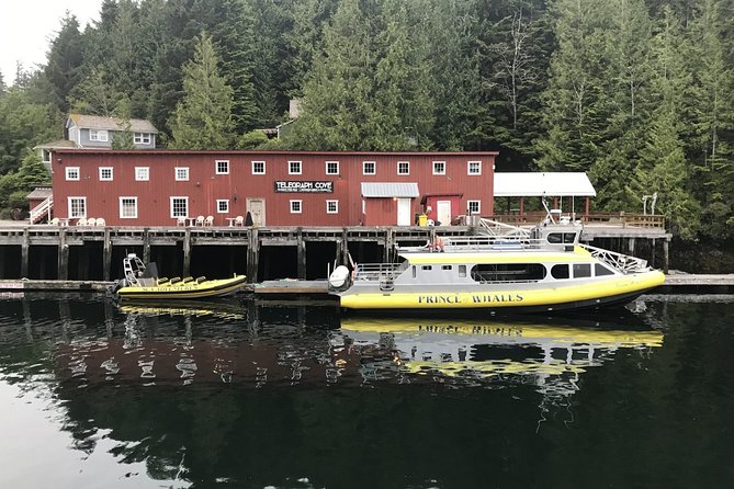 Vancouver Island Half-Day Whale Watching Tour - Telegraph Cove - Staying warm and comfortable on the boat