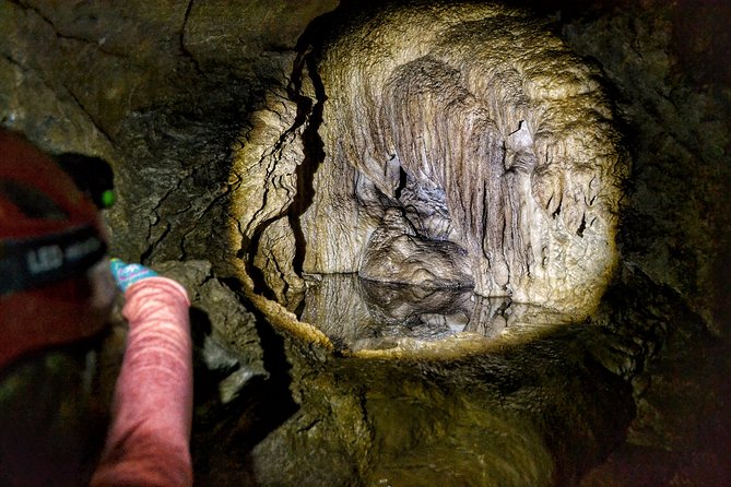 Vancouver Island Multi-Cave Experience - Hiking through Pacific coastal rainforest