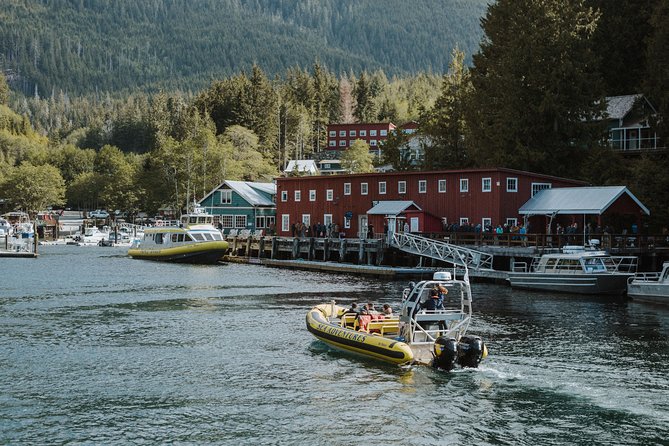 Vancouver Island Zodiac Whale Watching Adventure - Telegraph Cove - Key points to know before you book