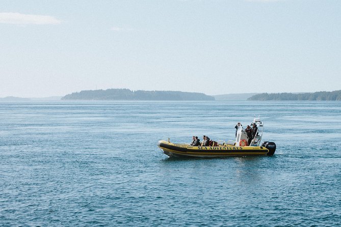Vancouver Island Zodiac Whale Watching Adventure - Telegraph Cove - Three hours in Johnstone Strait