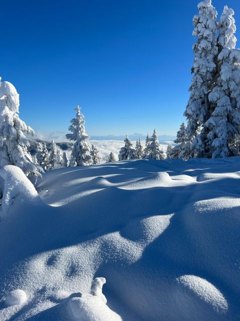 Vancouver: North Shore Mountains Snowshoeing with Transfer - Who Should Book This Outing?