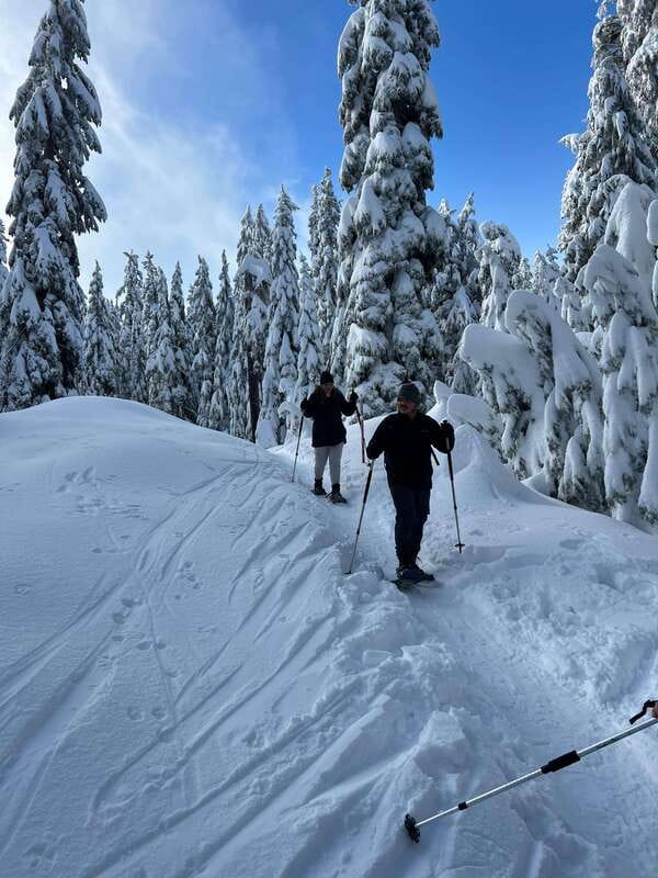 Vancouver: North Shore Mountains Snowshoeing with Transfer - From Vancouver Streets to North Shore Snow