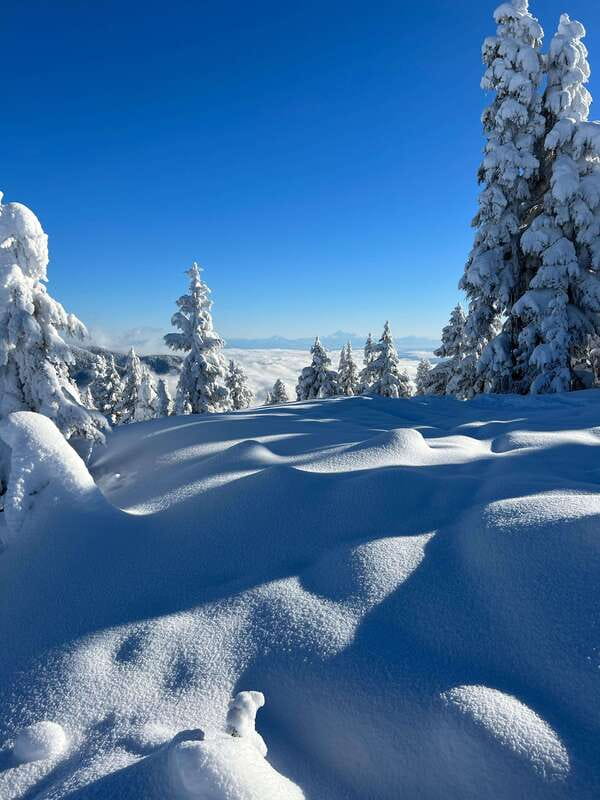 Vancouver: North Shore Mountains Snowshoeing with Transfer - How Hard Is the Snowshoeing?