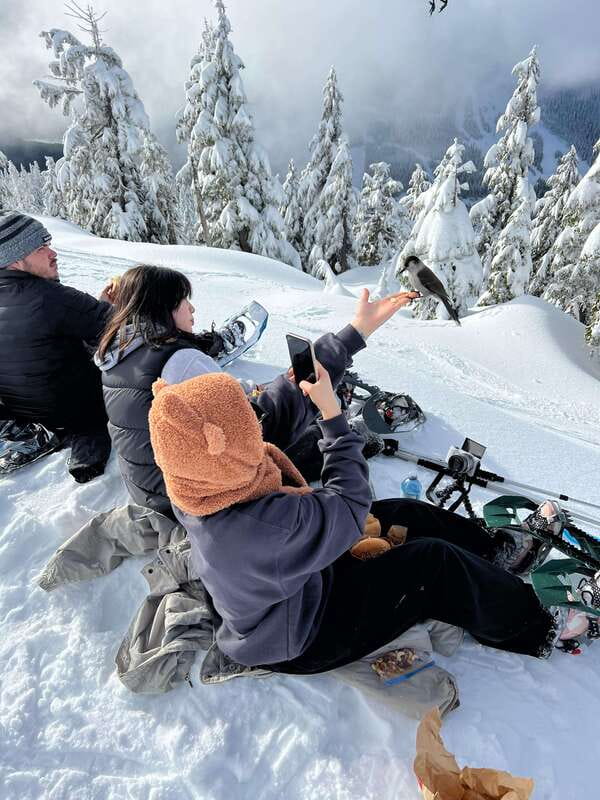 Vancouver: North Shore Mountains Snowshoeing with Transfer - Getting Fitted With Snowshoes and Poles