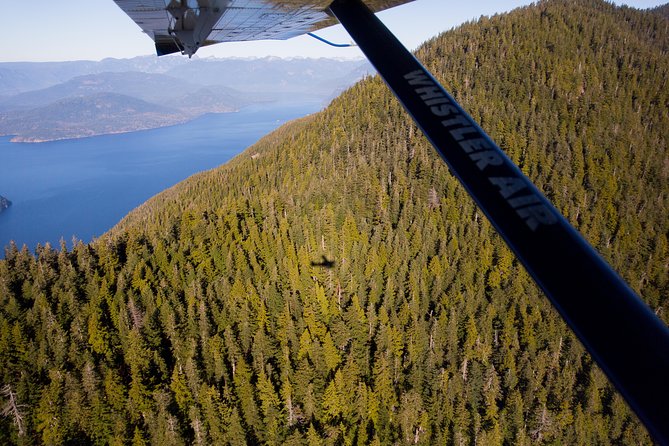 Vancouver Panorama Scenic Seaplane Tour - The return over False Creek