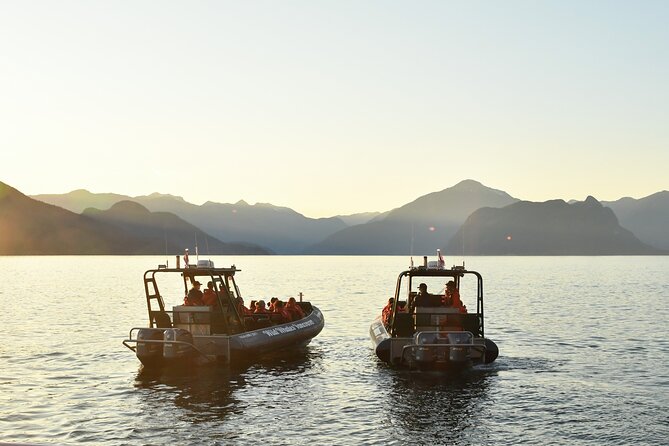 Vancouver's Intimate West Coast Whale Watching Experience - How comfortable is the zodiac?