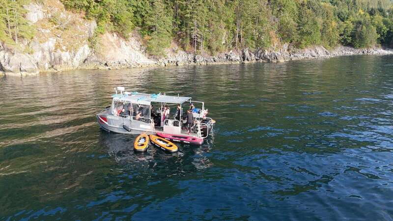 Vancouver: Snorkeling Seals Kayaking Scenic Boat Tour - Who will enjoy this outing most