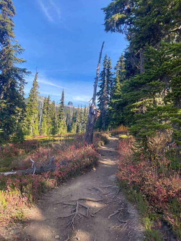 Vancouver/Squamish: Garibaldi Park Panorama Ridge Hike - The descent is part of the challenge