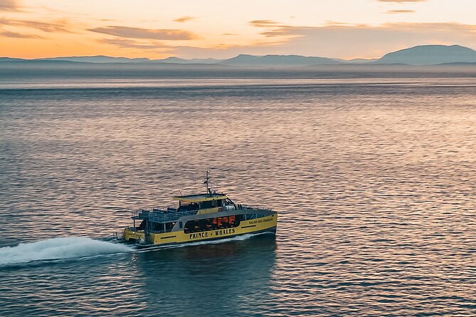 Vancouver Sunset Whale Watching Adventure with Free Photos - A comfortable 95-passenger catamaran